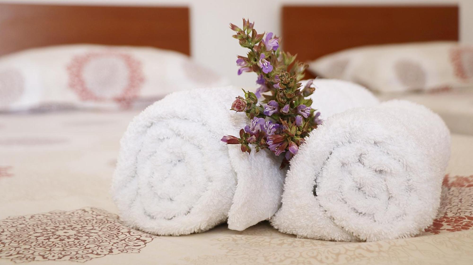Apartments Neda بلوتشي المظهر الخارجي الصورة